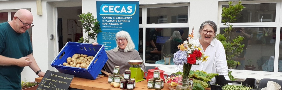 Car Boot Sale at CECAS
