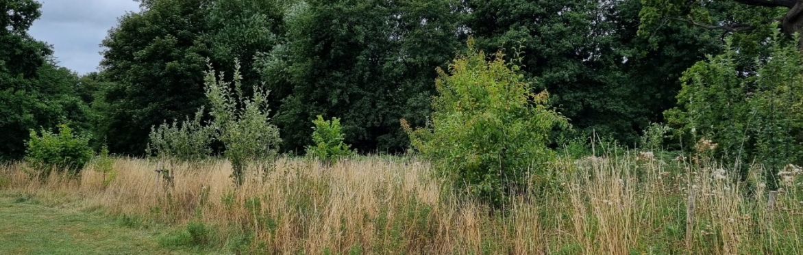 Pruning workshop at Arthur's Rein Orchard