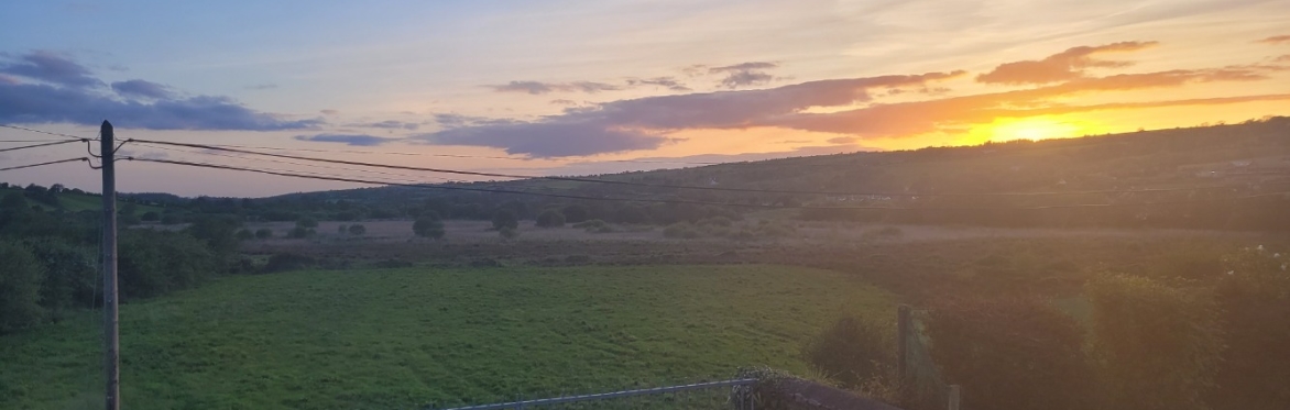 NATURE WALK - in surprise location with Ted Cook
