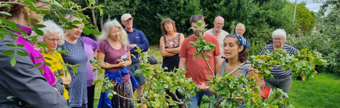 Summer Pruning