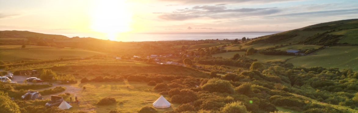 Ways Forward | Workshops for Our Thriving Community: Building Sustainable Relationships with Francis Taylor