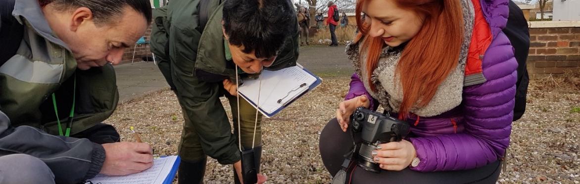 Botanical Skills NI: New Year Plant Hunt - Citizen Science in a Changing Climate