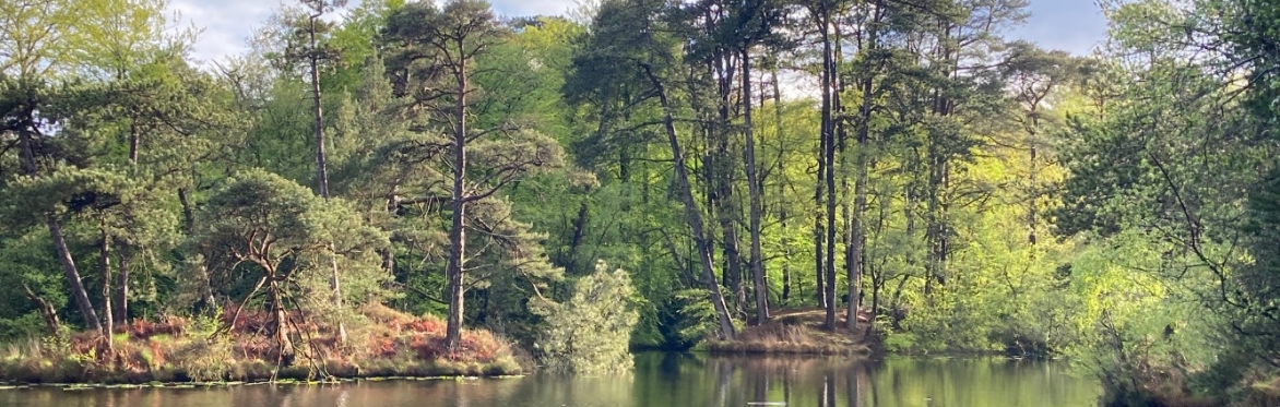 Bystock Discovery Day: volunteer sign up