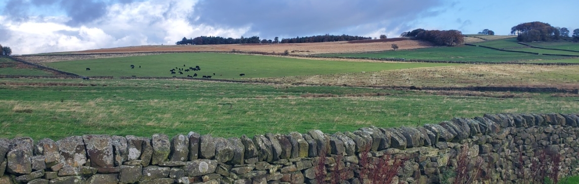 Guided Walk: Ughill Farm 1pm-2.30pm, (5km distance)