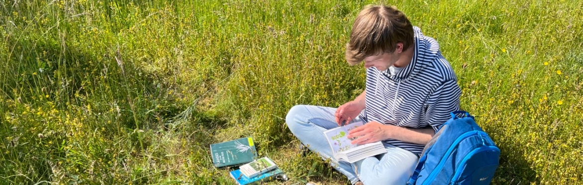 Beginner Botany Walk - Stevenage