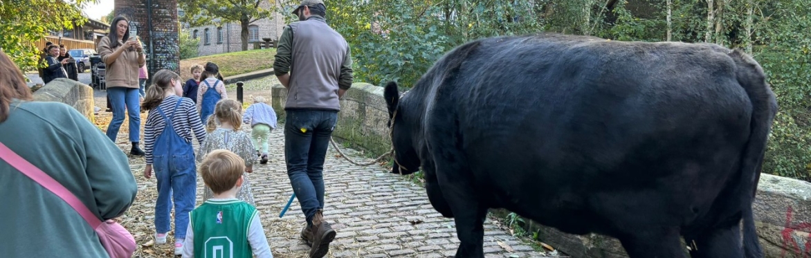 A group of children walking Willow the cow
