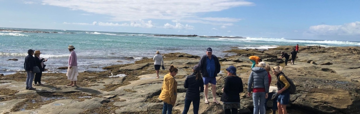 Seaweed Workshop