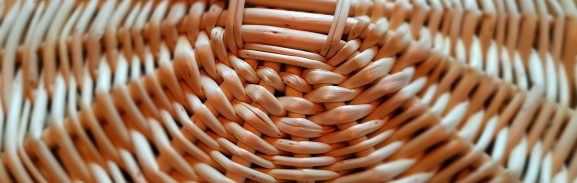Asymmetrical Willow Basket Weaving Workshop