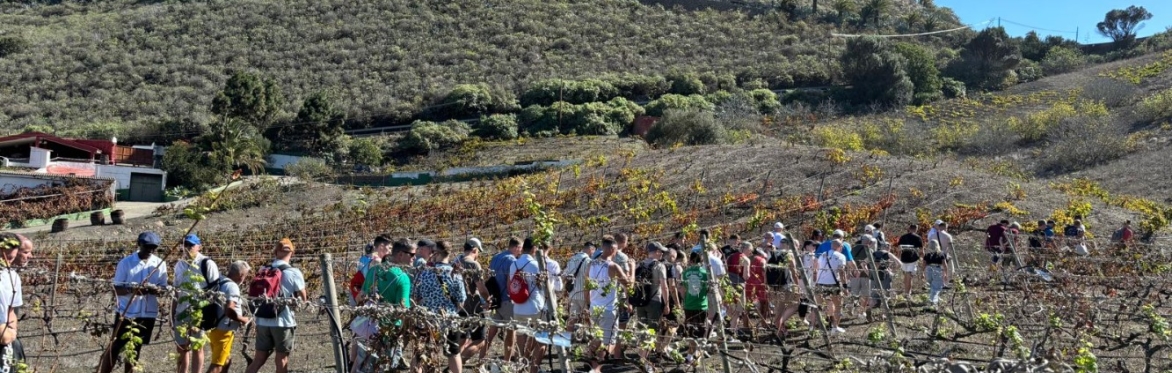Wine with Pride Trip - Winter Pride 2025, Gran Canaria Vineyard Tour