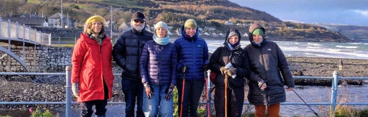 Botanical Skills NI: Leading a New Year Plant Hunt