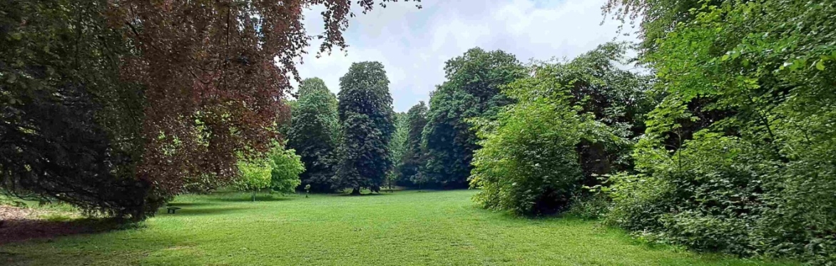 Bourne Hill House Garden