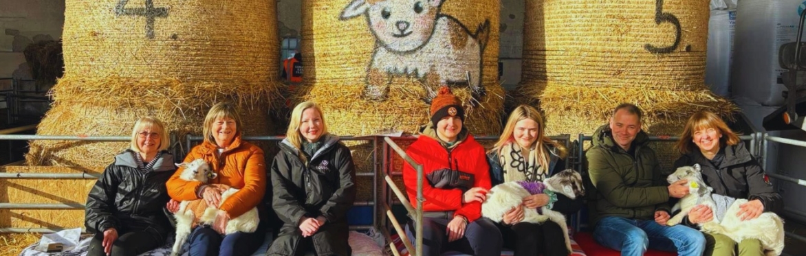 Happy visitors enjoying goat cuddles at Lunan Bay Farm