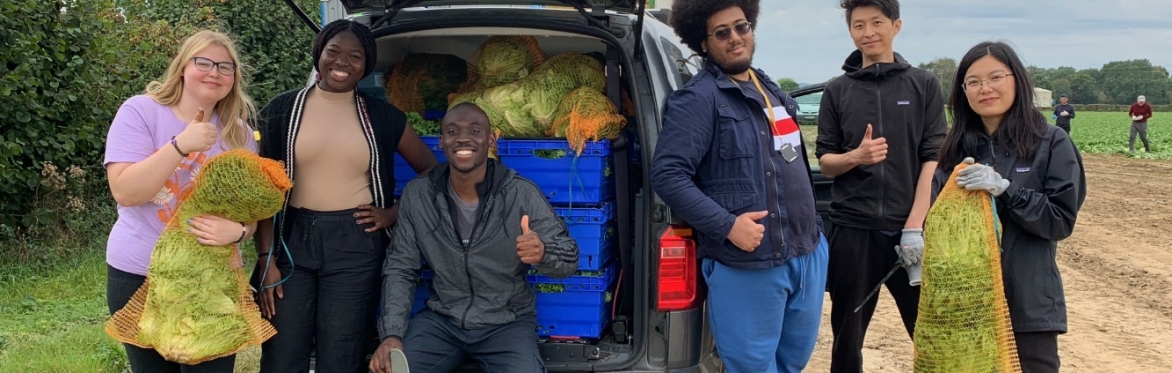 Kent Gleaning Collective - info brief