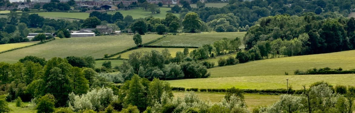 Tree Council Grants Programme Overview 2025/26