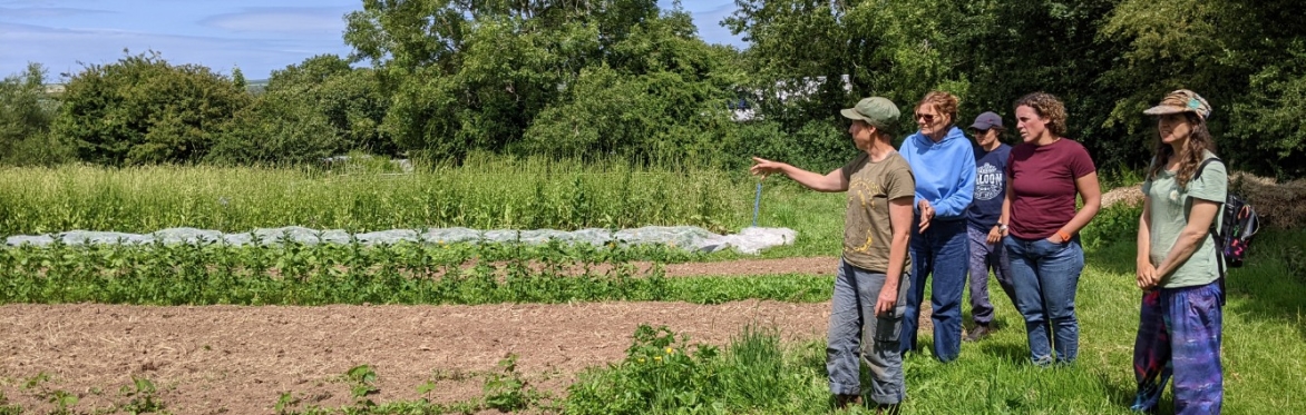 WALES Real Seeds Trip