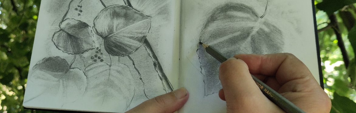 Sketching workshop: Contrast in Nature - free community event