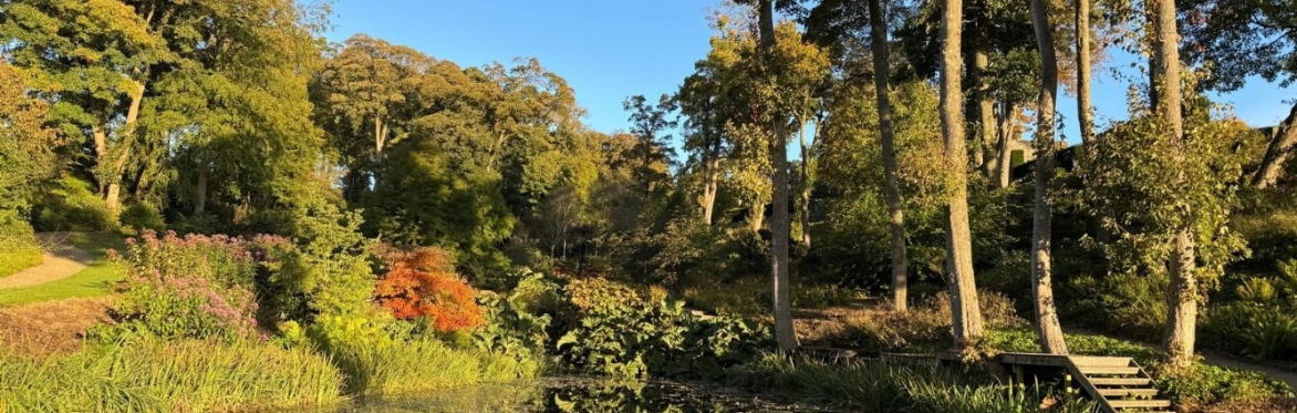 Mount St John Garden Autumn Open Day
