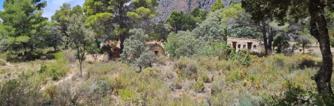 The Secret Valley: Men’s Mountain Meditation Retreat