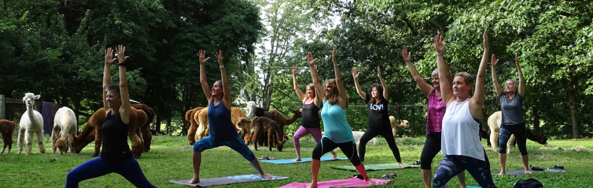 Paca Yoga