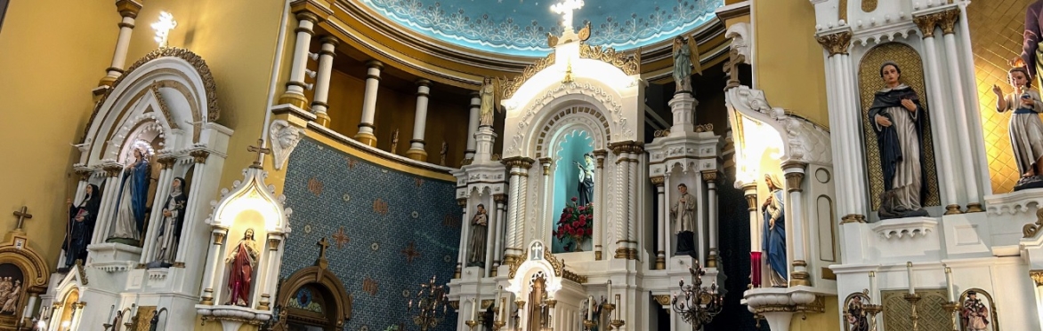 In Season (Aug): Historic Tour of St. Rose of Lima