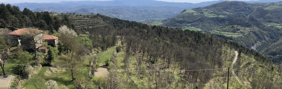 Panoramic view of the hills near Roccaverano