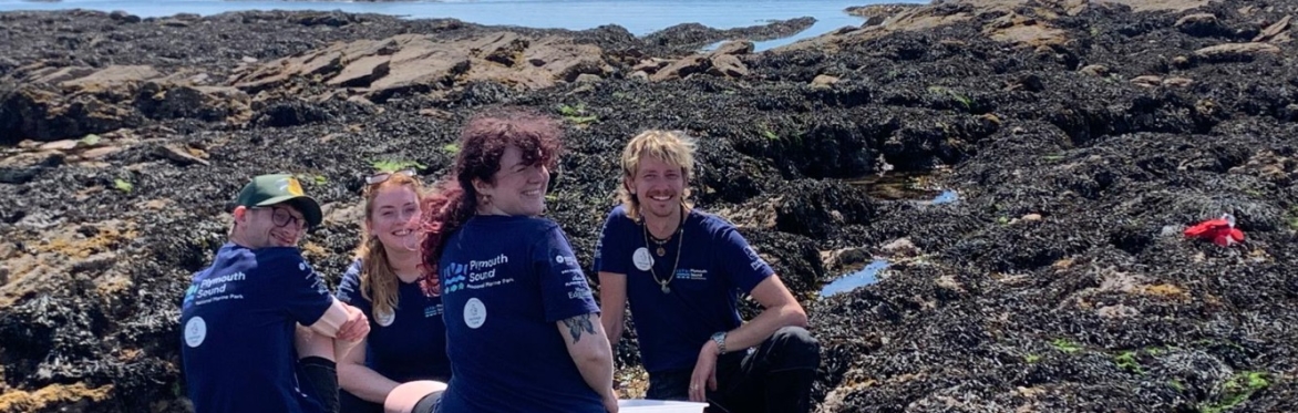 SEAsonal surveys: PSNMP shoresearch walkover surveys