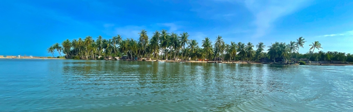 Island Experience - Beyond The Shore
