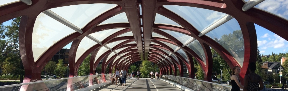 What is So Civil About Civil Society: A Precarious Look at our Social Infrastructure