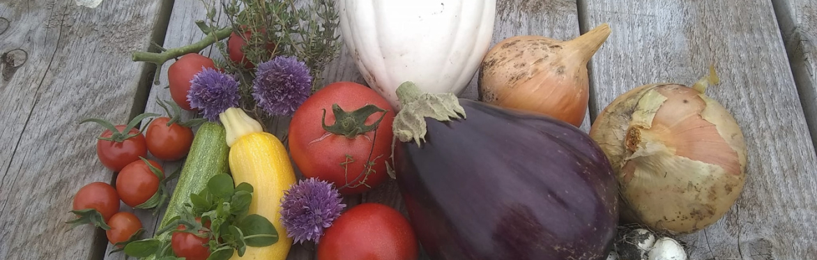Locally Grown Food