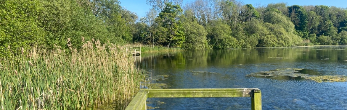 Botanical Skills NI: Introduction to Aquatic and Emergent Plants