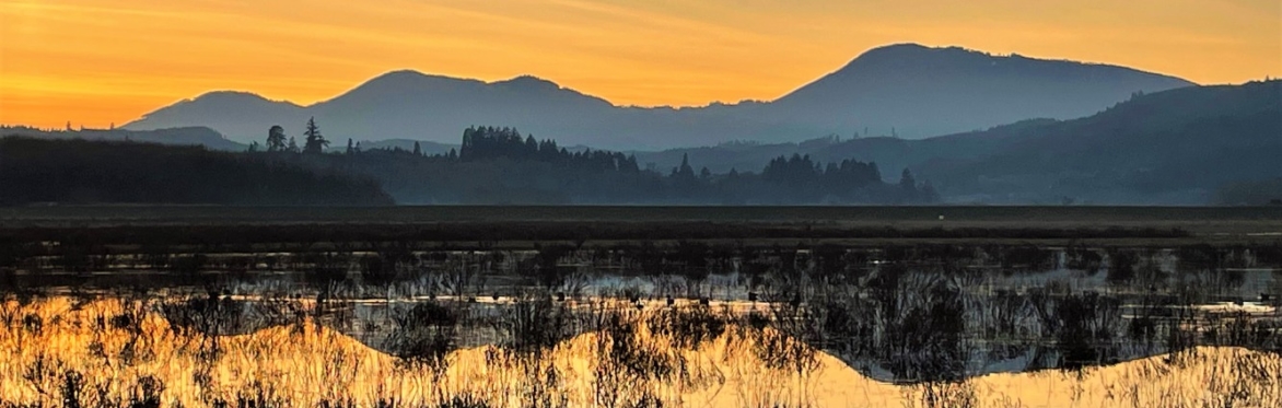 The image features Marys Peak at sunset at the Oregon Wetlands in Philomath, Oregon