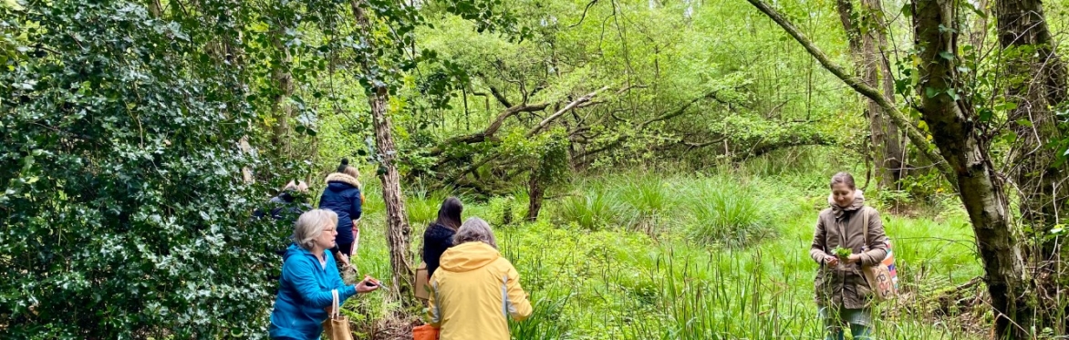 Foragers by a stream at Wildwood