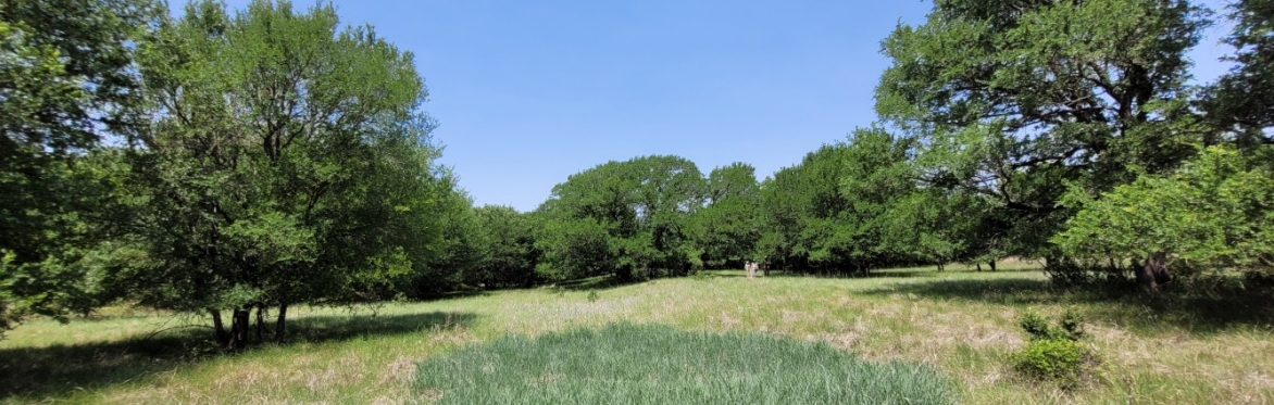 BioBlitz at Rock Creek Ranch Park in Fort Worth with Jeff Quayle