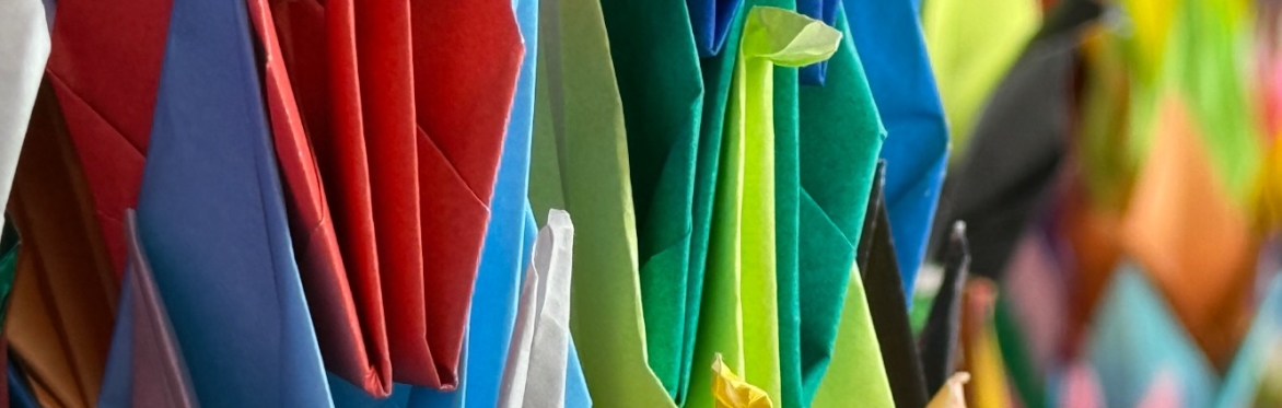 This image is of chains of multicoloured origami paper cranes that were found hanging at the Izumo Shrine, Shimane Prefecture, Japan.