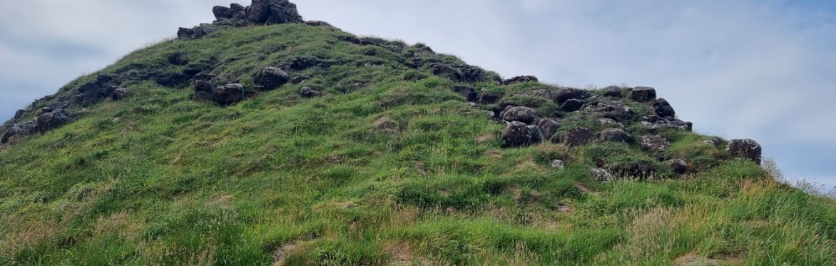 Botanical Skills NI: Geodiversity and geoconservation in Northern Ireland, with a plant on top