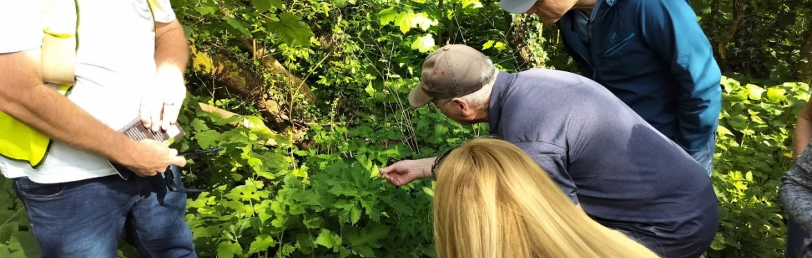 Flowers of Beaumont Quarry Wildlife Area