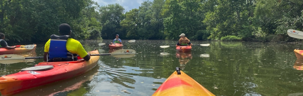 People kayaking on a river