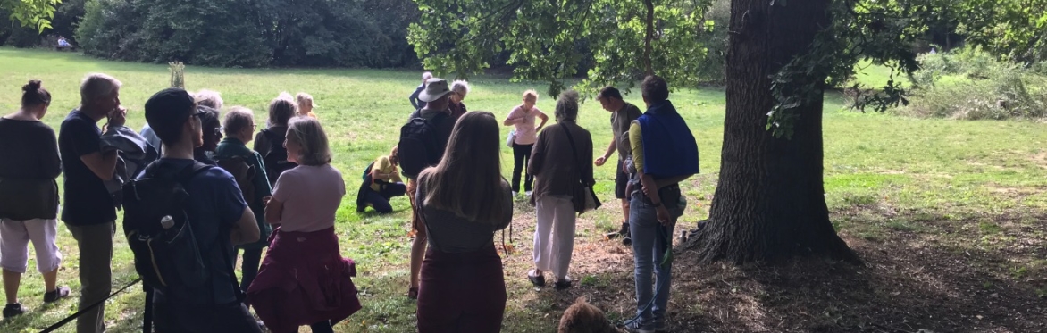 Frome Heritage Tree Walk