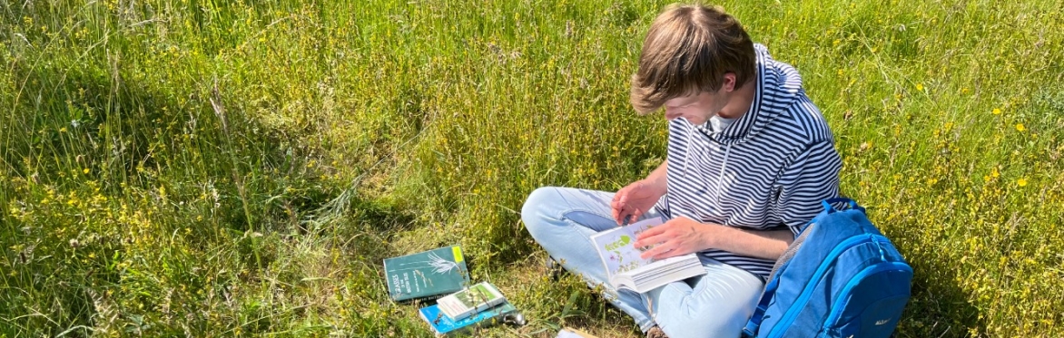 Beginner Botany Walk - Holyrood Park, Edinburgh