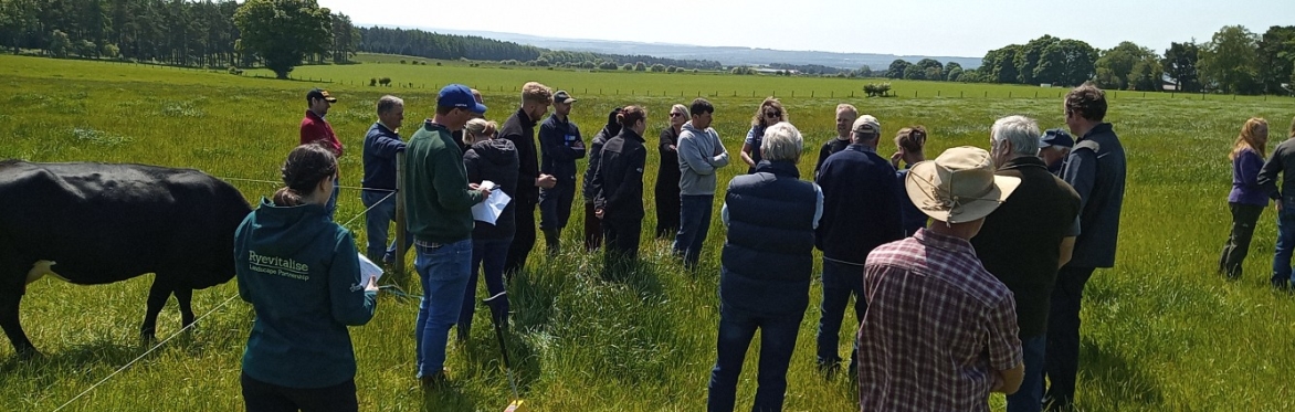 Farming into the future