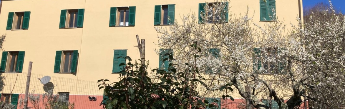 VALFONTANABUONA - SAN COLOMBANO CERTENOLI Alberi secolari e noccioleti: lungo i sentieri del territorio