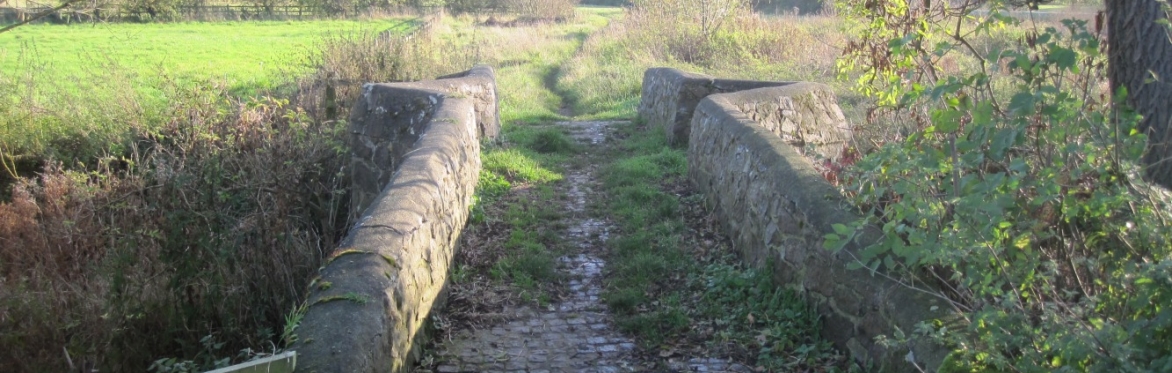A stone narrow medieval bridge, with a passing place in the middle, leading to field surrounded with trees.
