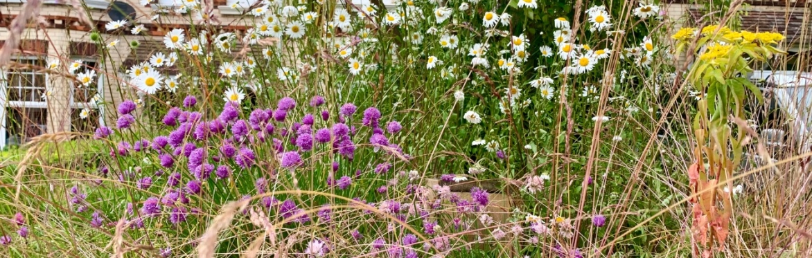 Wildlife Gardening Workshop - with guest speaker Steve Geliot