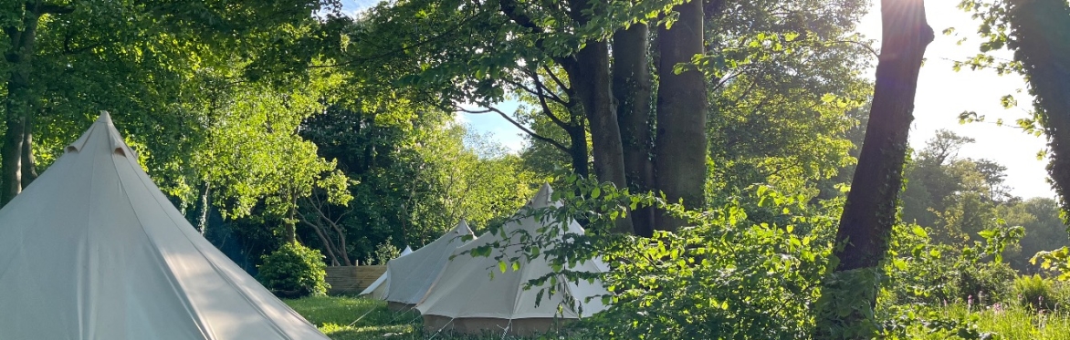 North Wales Pagan Fest 2024