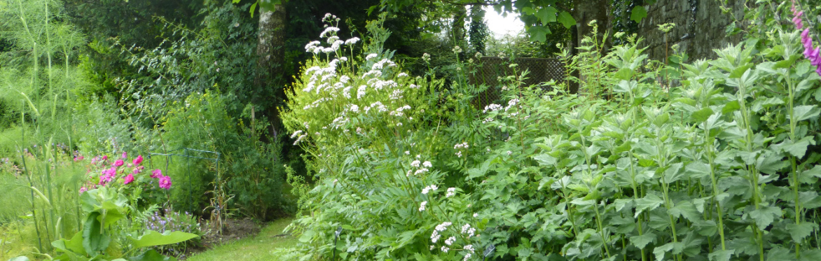 Healing Harmony with Nature