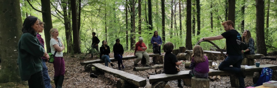 Group of people peacefully lying in the woodland
