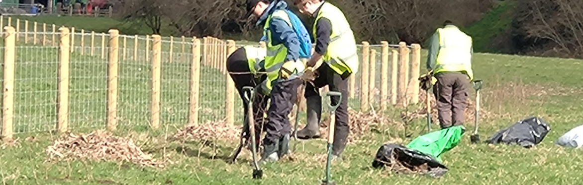 Tree Planting @ Cow Ark, Clitheroe