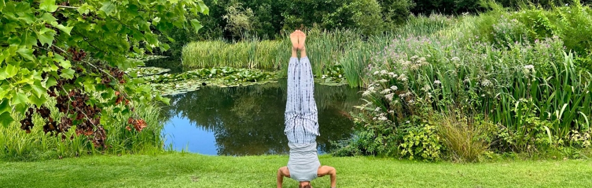 Finding Peace Nervous System Reset Yoga Day Retreat