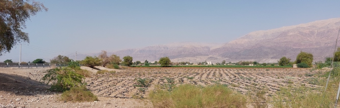 Babatha: The Life of A Jewish Woman in the Time of Bar Kokhba