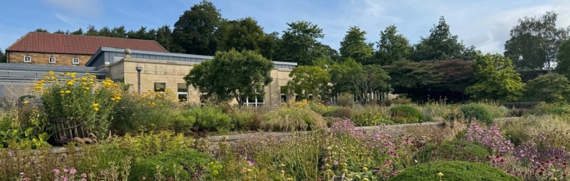 Mount St John Garden Summer Open Weekend